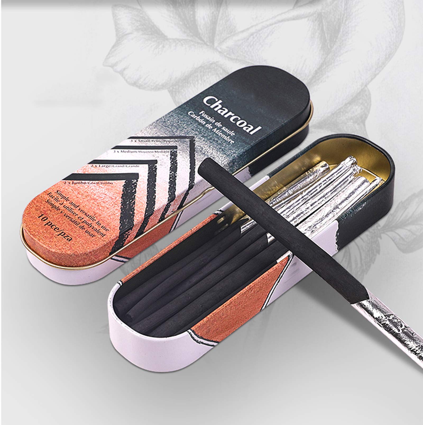 10Pcs Charcoal Sticks Woodless Charcoal Sketch Pencils Sketching Pencils Set Professional Artist with Metal Box Charcoal Art Sticks for Adults Kids Beginners Artist Blending Shading Sketching Coloring