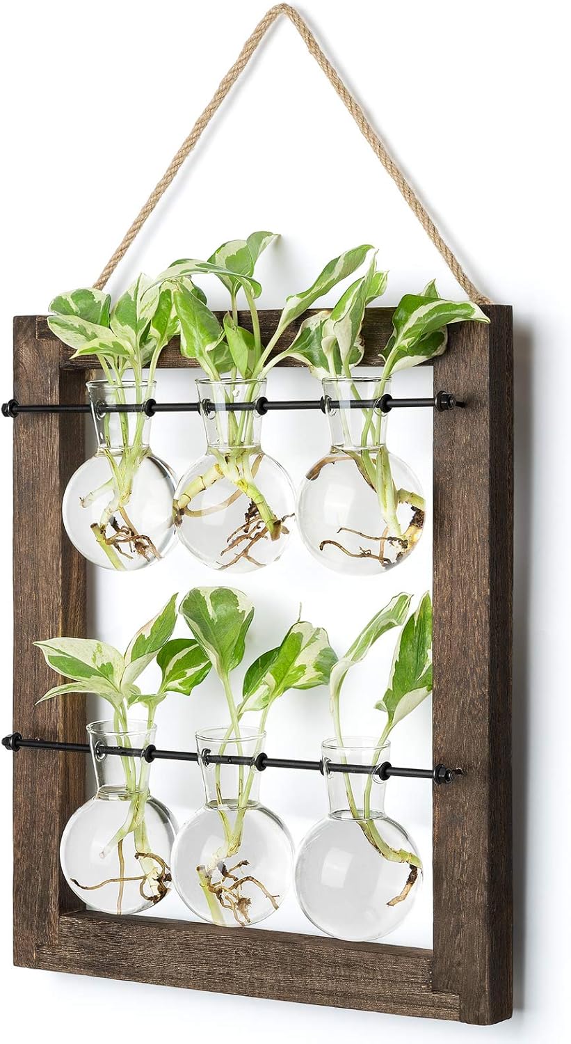 Mkono Double Layer Wall Hanging Glass Planter Propagation