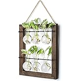 Mkono Propagation Station Wall Hanging Glass Planter, Flower Bulb Vase Plant Terrarium with Retro Wooden Stand Double Layer for Hydroponics Plants Home Garden Office Decor