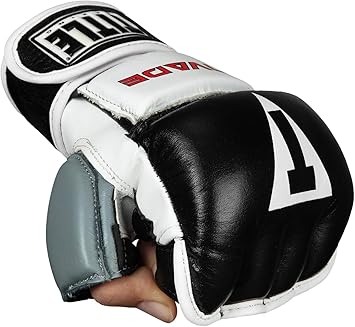 title boxing gloves amazon