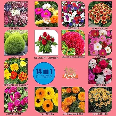 Kraft Seeds Flower Garden Series 14 Varieties in 1 Flower Seeds Pack