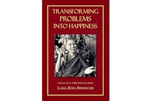 Transforming Problems into Happiness