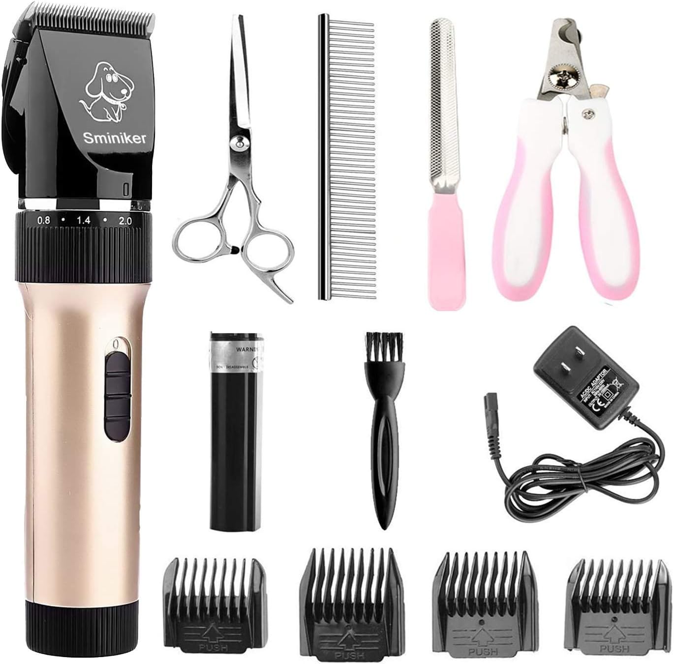 patterdale terrier puppies for sale near me