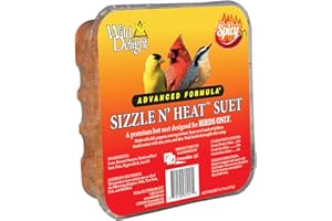 Wild Delight 3 Pack of Sizzle N Heat Spicy Suet for Birds, 11.75 Ounces Each