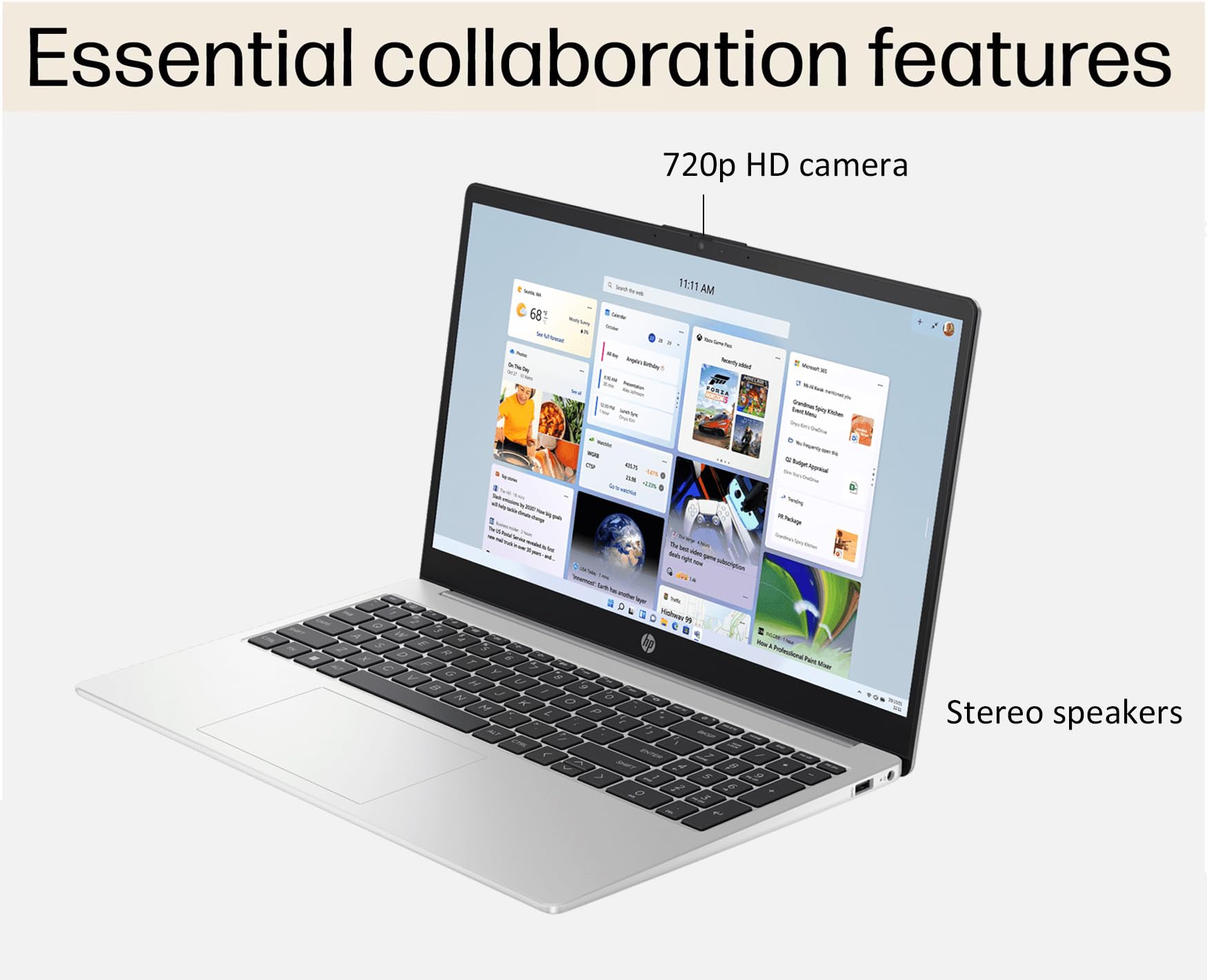 HP 255 G10 Business Laptop (15.6