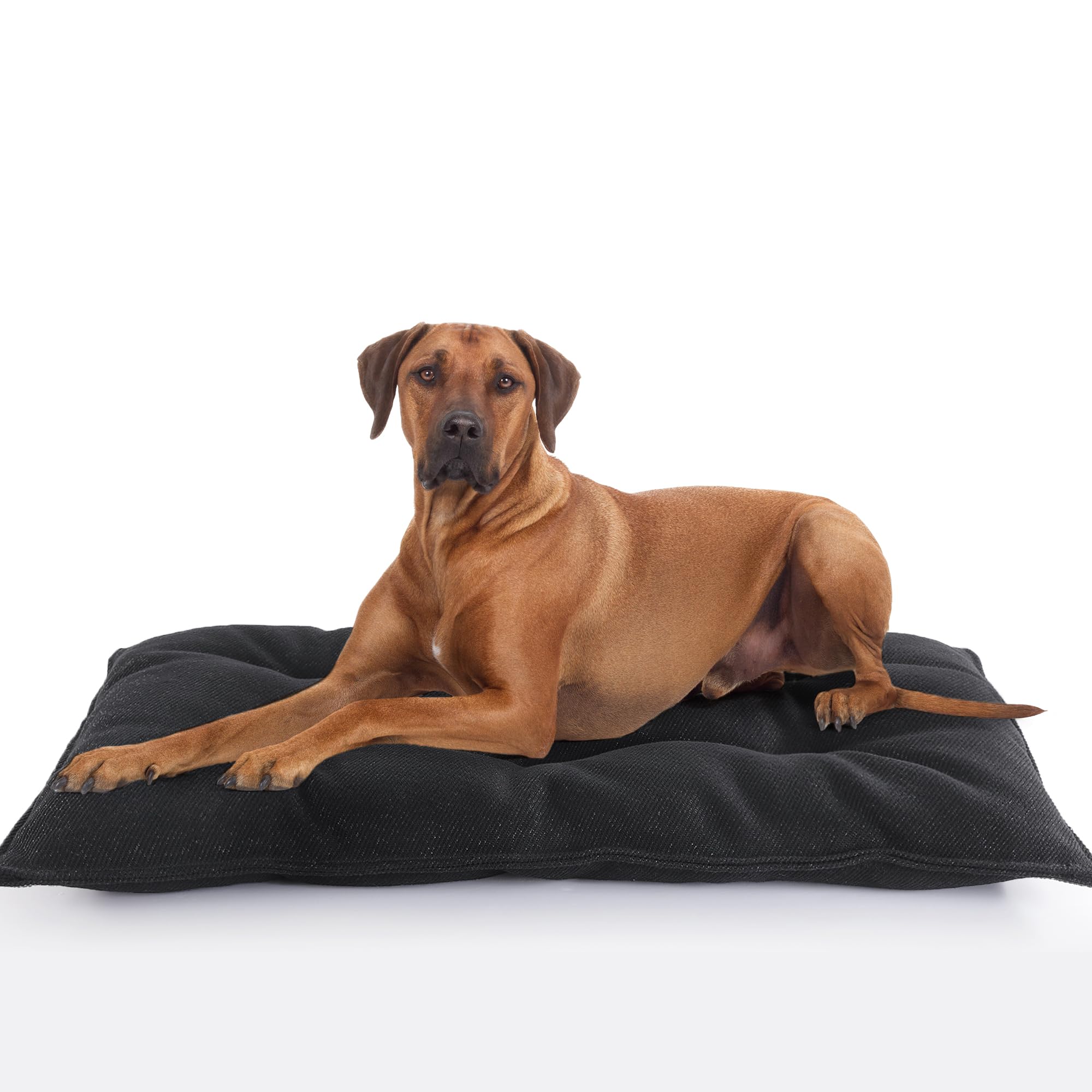 Photo 1 of MABOZOO Chew Proof Indestructible Dog Beds for Aggressive Chewers,Durable Dog Crate Pad,Washable Tough Pet Mats for Kennel,Black,M 18x29 in