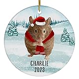Santa Hat and Scarf Welcome Winter Brown Hamster