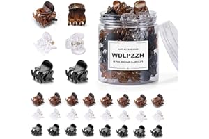 WDLPZZH 48pcs Mini Hair Claw Clips for Women Girls, Small Tiny Hair Clips Claws Little Plastic Jaw Clamps Clips with Transparent Box (Black/Brown/Clear)…