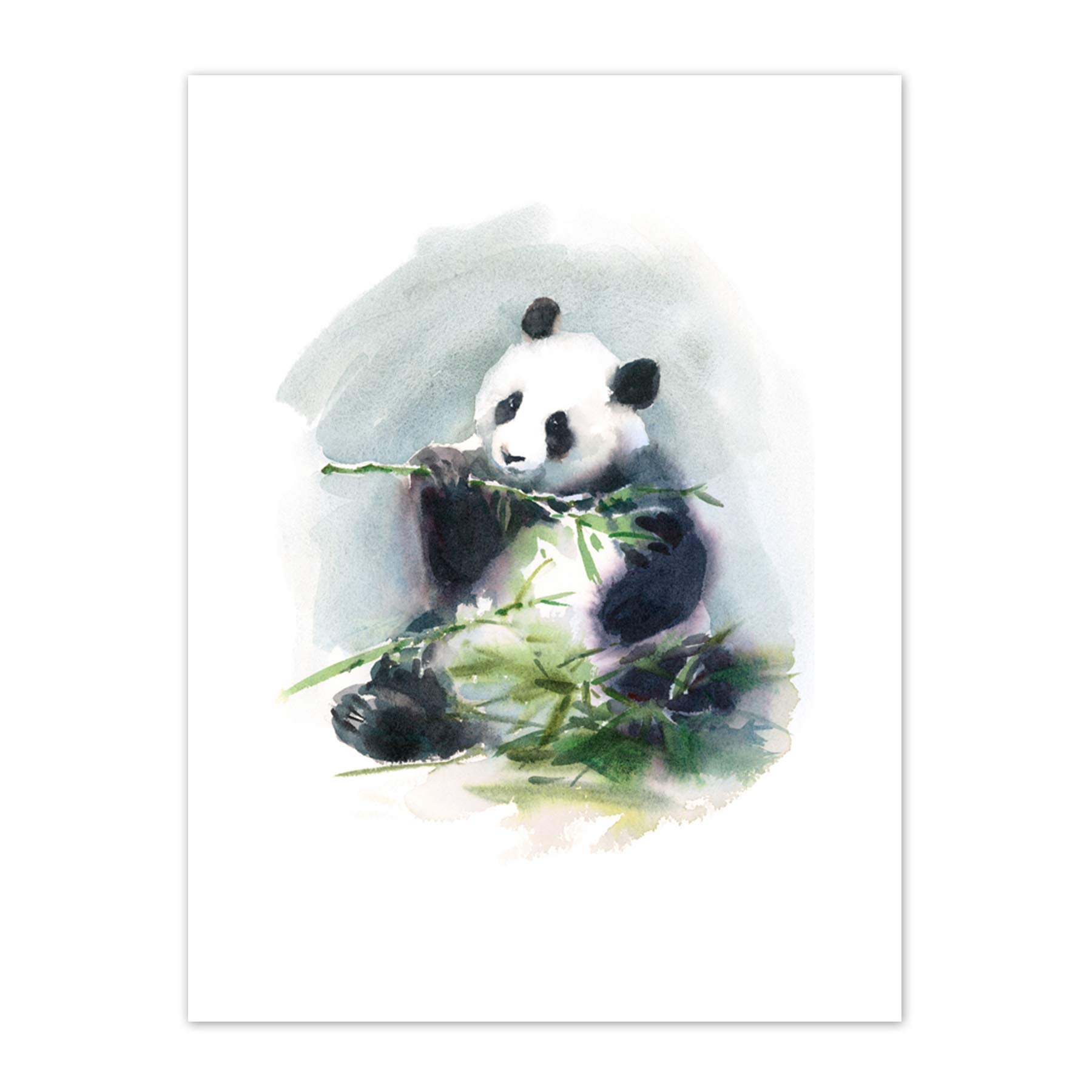 Wee Blue Coo Panda Eating Watercolour Art Print Canvas Premium Wall Decor Poster