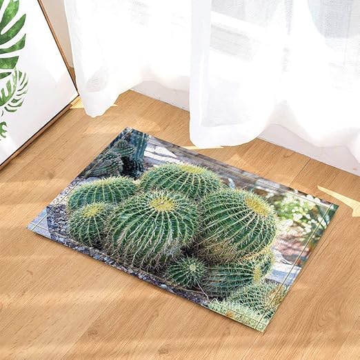 Cactus Desert Green Plant Decor Non Slip Outdoor Indoor Front Door Mat Bathroom