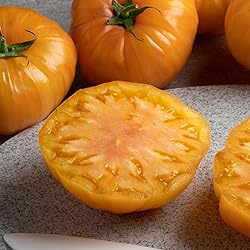 Eden Brothers Tomato Seeds - Persimmon Non-GMO