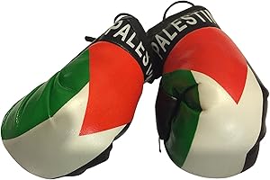 FNG MINI BOXING GLOVES Flag Mini Small Boxing Gloves to Hang Over Car Automobile Mirror – Asia & Africa