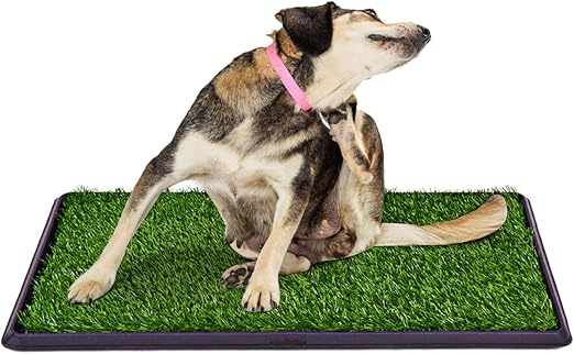 outdoor pee mat for dogs
