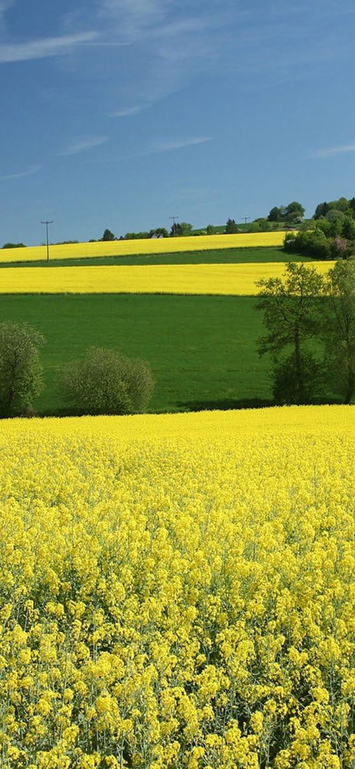 PeelitStickit, Beautiful Landscapes Wall Murals, ID-084, vinyl, Multi-colour