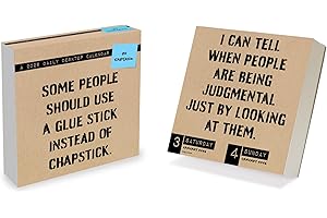 TF Publishing 2026 Anti Affirmations/Daily Sarcasm Daily Desktop Calendar - Home & Office Organization - Small Desk Calendar 