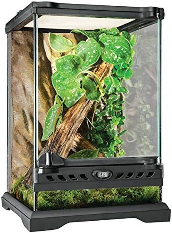 Terrarien Rückwand Kokosfaser 30x30 cm – Dragon