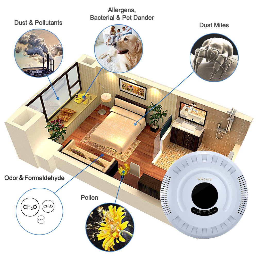 Webetop Air Purifier 6-in-1 True HEPA Filter Wall-mounted Air Purifier for Large Room 322 sq. ft Odor Allergies Eliminator Dust Germs Mold Pet Dander Pollen Air Monitor Function