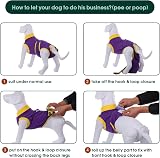 Kuoser Dog Recovery Suit Purple XS Post-Op E-Collar Alternative view 4