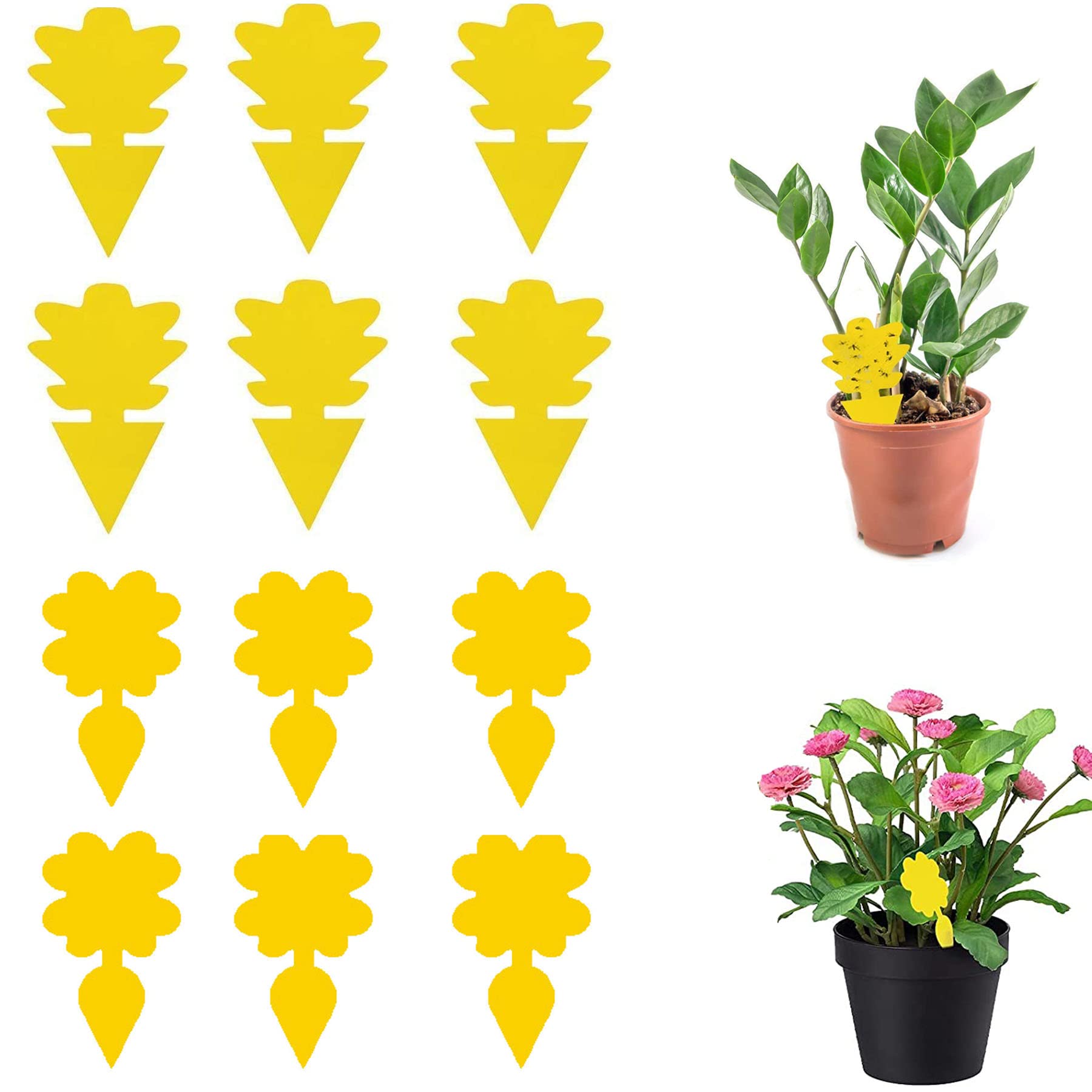 20 Pcs of Double-sided Sticky Fly Traps，Disposable Sticky Boards for Insect Traps，Sticky Traps，Trap Plant Fly Paper，Bed Bug Trap，Suitable for a Variety of Insects and Mosquitoes，IndoorPlantsGardens