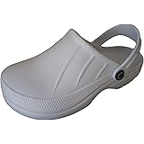 dental clogs