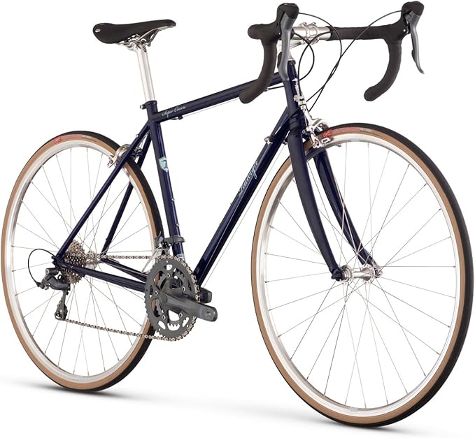 raleigh endurance bike