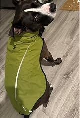 Mile High Life Dog Raincoat Adjustable Waterproof Lightweight Lime XS view 8
