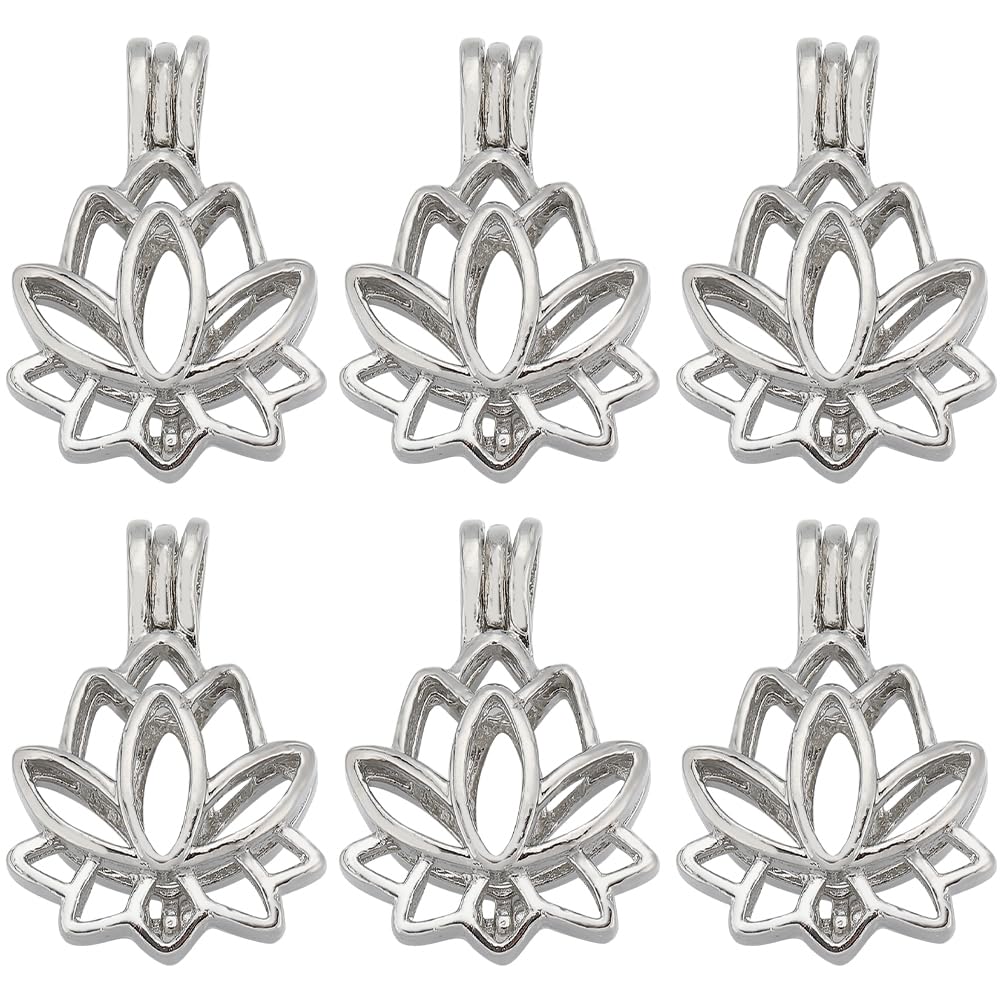 SUNNYCLUE 1 Box 10Pcs Pearl Cage Charm Crystal Necklace Holder Stone Holder Charm Cage Pendants Aromatherapy Essential Oils Pendant Locket Charms for Jewellery Making Charms Women DIY Necklaces