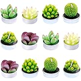Swpeet 12Pcs Decorative Succulent Cactus Tealight Candles Kit, Cute Smokeless Succulent Plants Perfect for Candles Festival Wedding Props and House-Warming Party (N0.6-Candle)