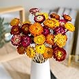 Natural Dried Daisy Flowers Bouquet - 20 Pcs Multicolor Daisies Artificial Sunflowers Chrysanthemum, Dry Flower Arrangements