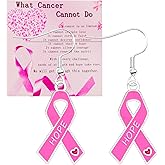 Pink Breast Cancer Awareness Earrings Ribbon Drop Earrings Women's Breast Cancer Awareness Jewelry Gift