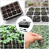 VonLux Seed Trays 10-Pack with Humidity Dome Base 12 Cells Each Propagator view 5