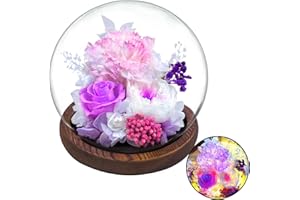 DIGI4U Mothers Day Flowers Gifts for Mom,Preserved Rose Carnation Flowers Gifts for Women, Real Flowers Bouquet in Glass Dome with Light, Birthday Gifts for Mom Wife Mothers Day Anniversary