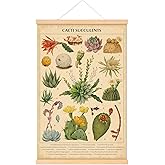 Tatuo Vintage Cacti Succulents Poster Cactus Wall Art Prints Rustic Cactus Hanging Wall Decor Hanging Canvas Frame Poster for Living Room Office Bedroom Dining Room Decor, 15.7 x 23.6 Inch