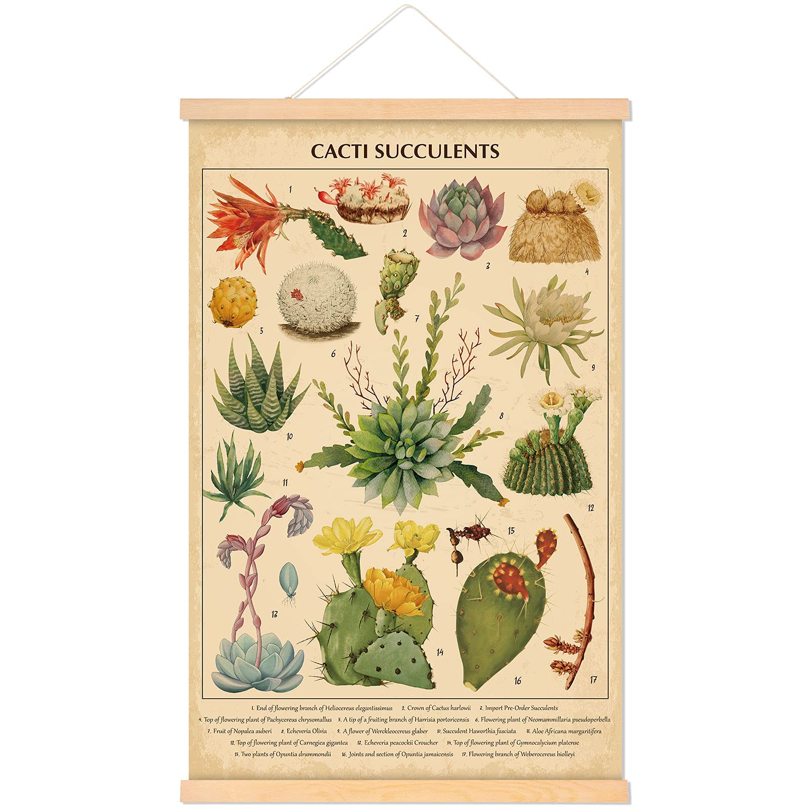 Tatuo Vintage Cacti Succulent Poster Cactus Wall Art Prints Rustic Cacti Hanging Wall Decor Hanging Canvas Frame Wall Poster for Living Room Bedroom Decor, 15.7 x 23.6 Inches