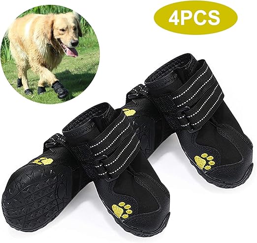 amazon shoes for dogs