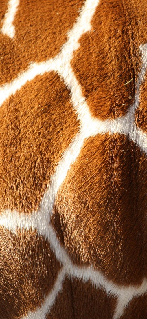 PeelitStickit Animal Skin, Beautiful Nature Wall Murals, ID-3319, vinyl
