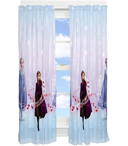 Frozen Frame Decorating Kit