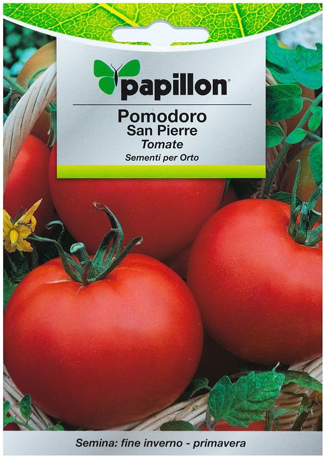 Semillas Tomate Redondo Liso (1 Gramo): Amazon.es: Bricolaje y ...