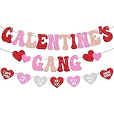 Galentine’s Gang Banner Happy Galentine’s Day Party Decorations for Lady Girl Women Happy Valentines Day Bachelorette Colorful Party Supplies