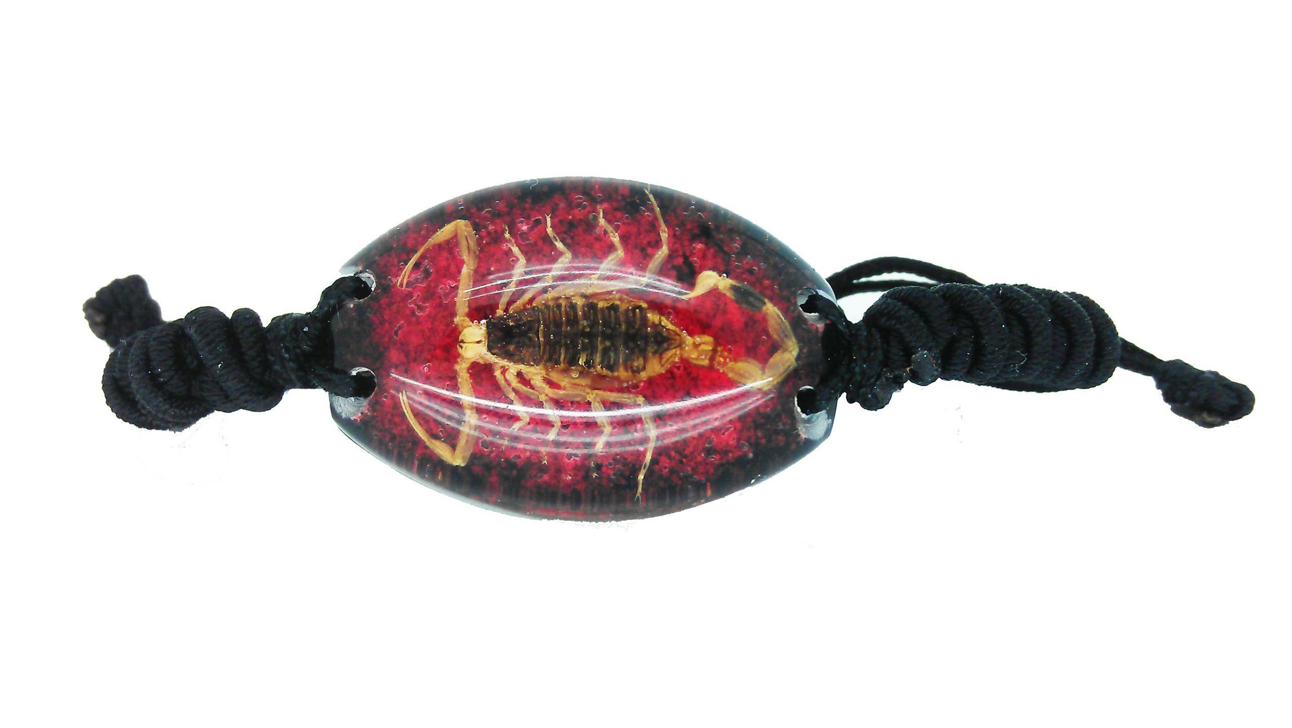 Luck Trader Real Scorpion Red and Black Resin Bracelet