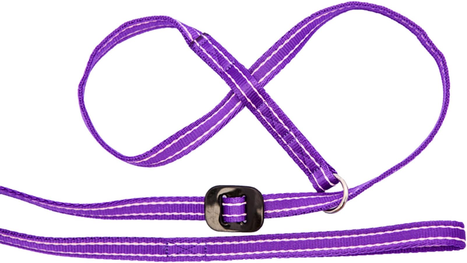 Gencon All-in-1 Dog Headcollar & Lead in One - Purple/Pink