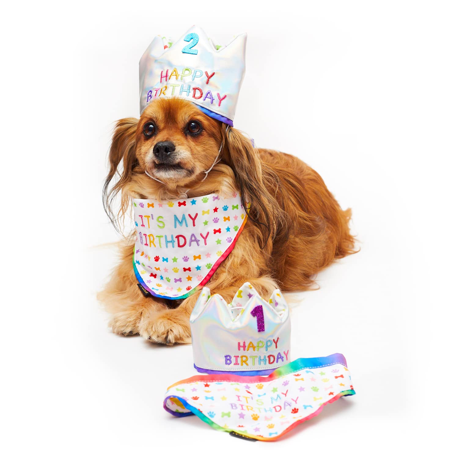 PET LONDON Dog Birthday Luxury Set Holographic Party CROWN Hat & matching BANDANA. ADD ANY AGE – Glitter No’s (20Pcs) Rainbow Embroidered BOY or GIRL Bday or Adoption Gift Celebration