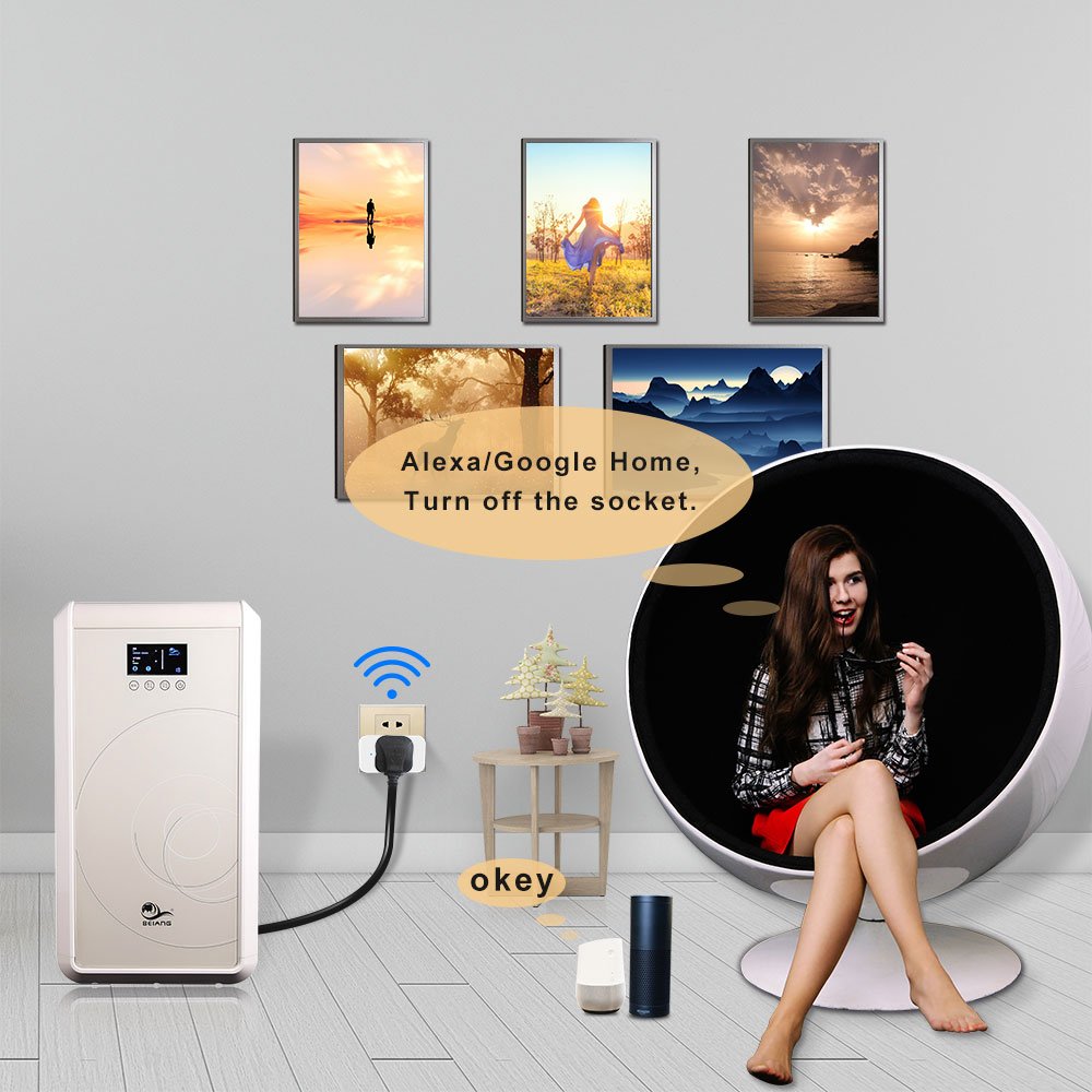 linganzh smart plug google home