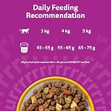 Whiskas Senior Dry Cat Food 800g Chicken Pack of 5 view 4