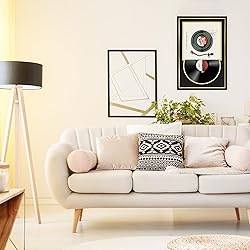 FramePro Vinyl Record Frame with 2 Double Sided