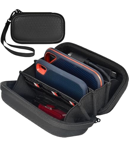Amazon.com: Hermitshell Hard Travel Case for SanDisk 1TB 2TB 4TB