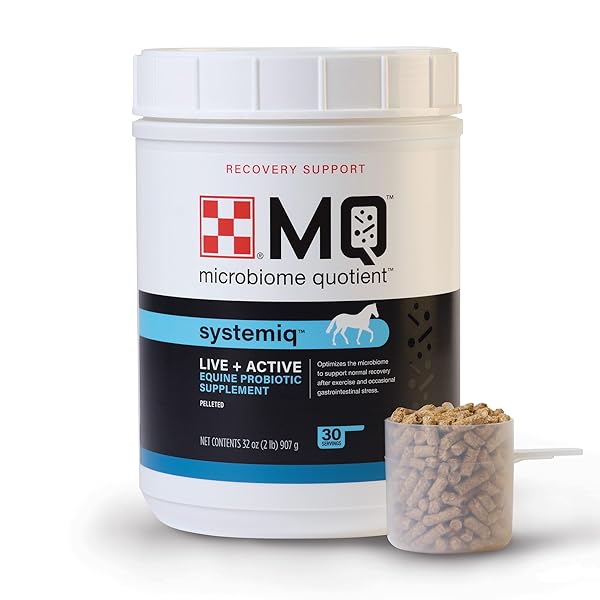 PURINA® SYSTEMIQ™ PROBIOTIC HORSE SUPPLEMENT | 2 POUNDS (2 LB)