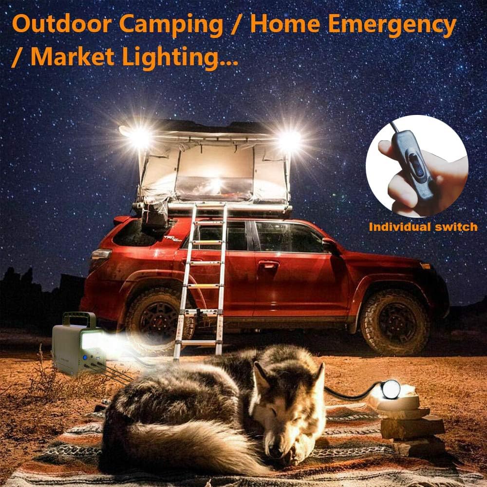 ECO-WORTHY 84Wh Portable Power Station, Solar Generator with 18W Solar Panel, Flashlights, Camp Lamps with Battery, USB DC Outlets, for Outdoor Camping, Home Emergency Power Supply, Hurricane, Fish: Home Improvement