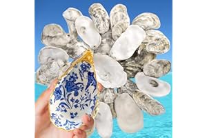 EGCINA 4"-5" Large Oyster Shells for Crafts -15PCS Real Natural Oyster Shells Bulk for Easter Egg Fillers Christmas, Vase Filler, Home Decor, DIY, Candle Making, Sea Shells for Crafting, Wedding Invitation