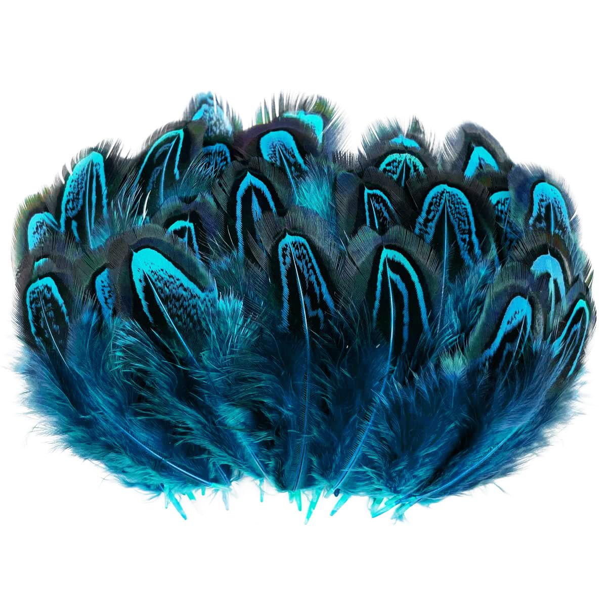 Photo 1 of 100pcs Turquoise Blue Pheasant Feathers 2-3Inches for Crafting Dream Catchers Decoration